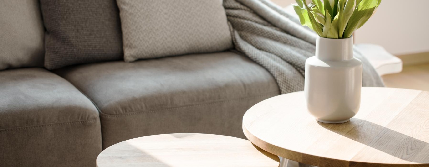 a couch with a table and a vase with plants on it